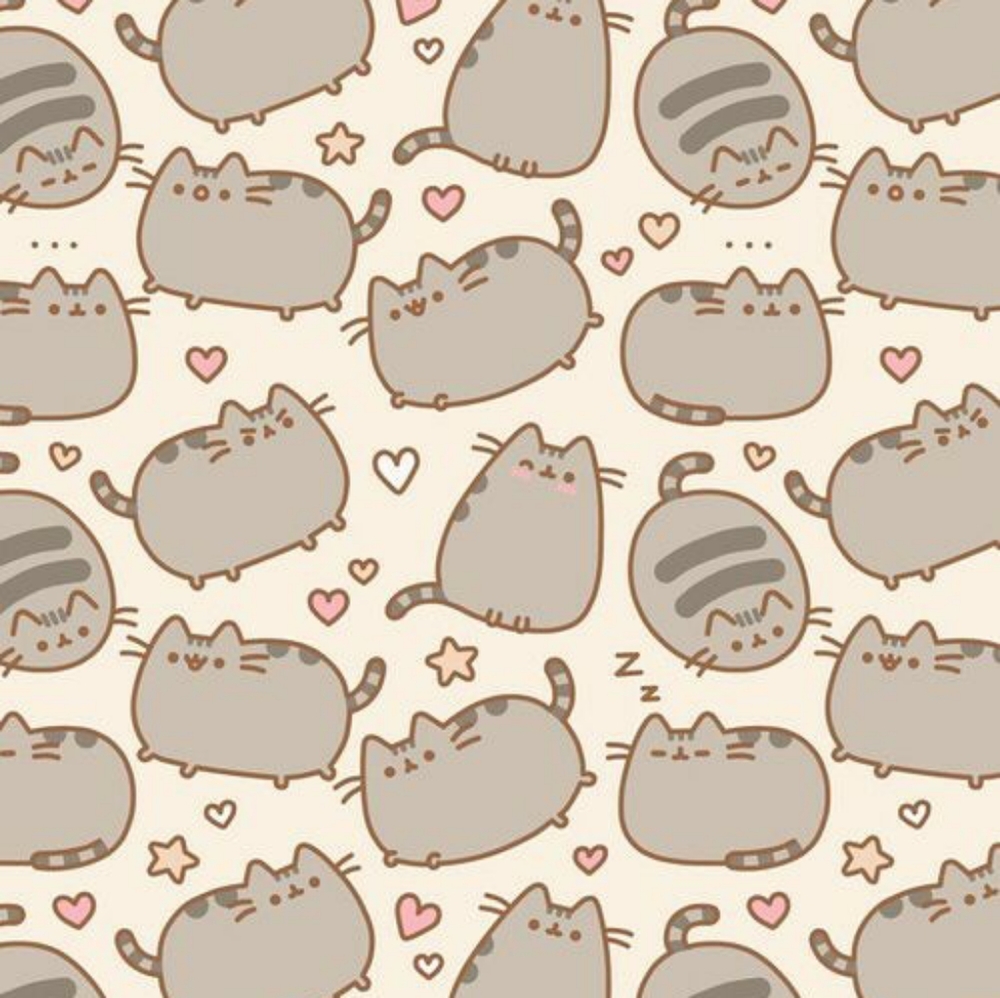 Meet your Posher, Hadassah